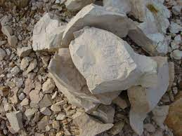 diatomite earth